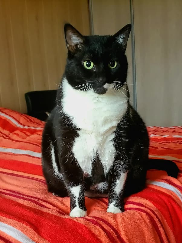 Sitting on the bed
