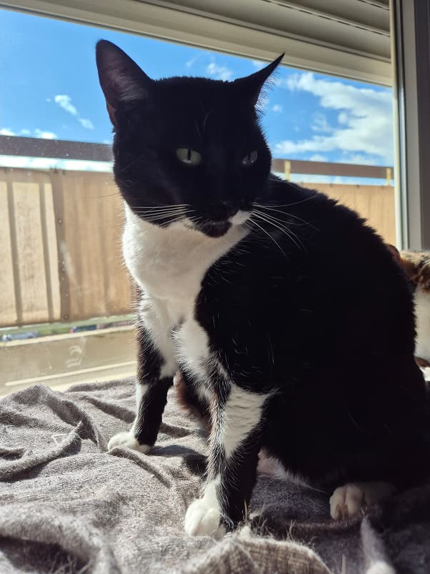 Sitting in the sun