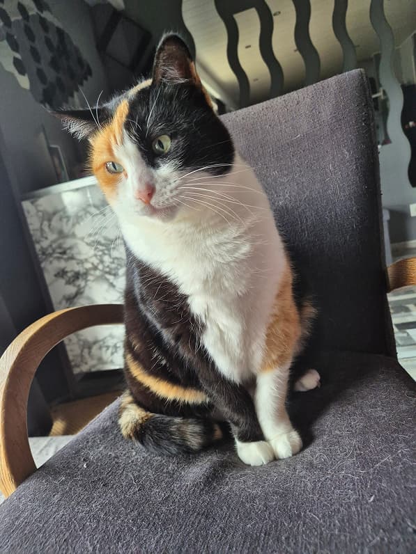 Sitting on the chair