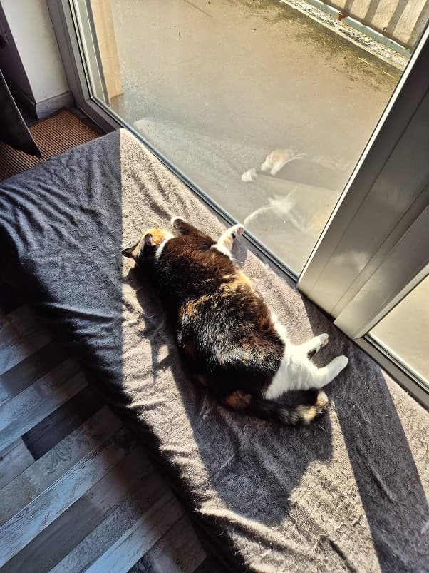 Sunbathing